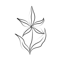 minimalist tattoo flower line art flourish and leaves