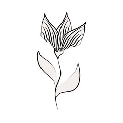 minimalist tattoo flower elegant flora line art herb and leaves