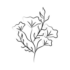 minimalist tattoo flower herb and leaves foliage line art