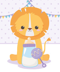 baby shower, little lion sitting with rattle and bottle milk, celebration welcome newborn