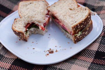Sandwich