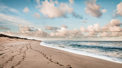 beach in the morning