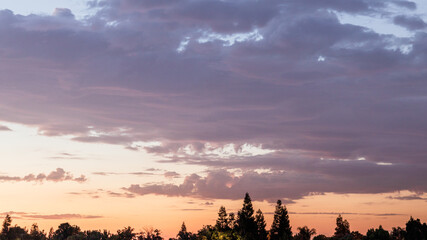 sunset in the forest