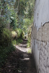 camino, bosque, antiguedad, arquitectura, pueblo, camino viejo, naturaleza, carretera vieja