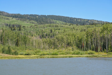 Obraz premium The peaceful Freeman Reservoir below the mountainside of the Routt National Forests. In the Rocky mountains of Colorado