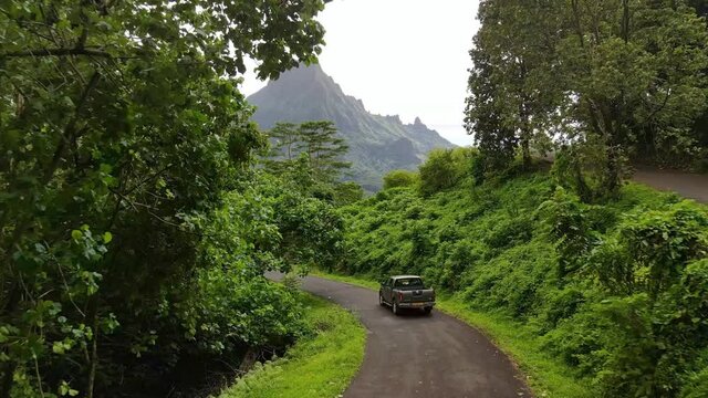 Car drive in green jungle forest of Mount Rotui.  Moorea, Tahiti. Tropical paradise, vacation in French Polynesia, Tahiti travel. Adventure tourism. 