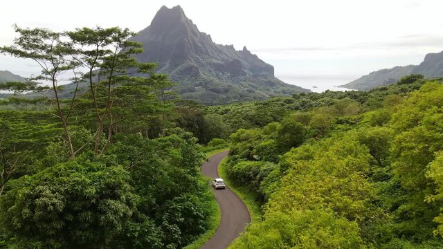Drone aerial shot 4k. Car drive in green jungle forest of Mount Rotui.  Moorea, Tahiti French Polynesia. Tropical paradise, outdoor hikes in nature, Tahiti adventure vacation.
