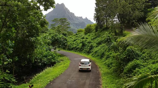 Car drive in green jungle forest of Mount Rotui.  Moorea, Tahiti. Tropical paradise, vacation in French Polynesia, Tahiti travel. Adventure tourism. 