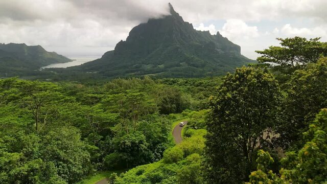 Drone aerial shot 4k. Car drive in green jungle forest of Mount Rotui.  Moorea, Tahiti French Polynesia. Tropical paradise, outdoor nature, Tahiti adventure vacation. Slow motion.