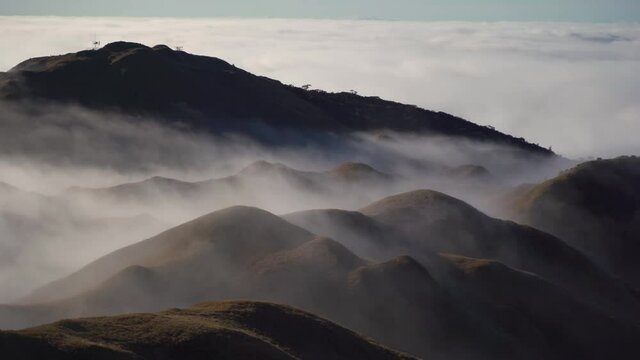Mystic forest fog in mountain Mt. Pulag Philippines