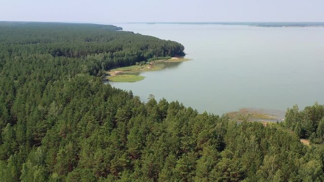 Aerial video of forest boggy lake in the Karakansky pine forest near the shore of the Ob reservoir.