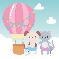 baby shower, cute dog and cat with diaper rattle and air balloon, celebration welcome newborn
