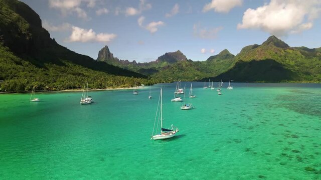 4k drone shot. Aerial view of sail boats in turquoise crystal clear water blue lagoon, tropical paradise of Moorea island, Mount Rotui - South Pacific Ocean, French Polynesia landscape. 
