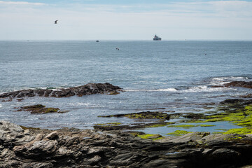 New England Coast by Constantine