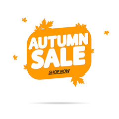 Autumn Sale, promotion banner design template, discount tag, vector illustration