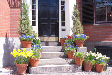 Fototapeta na wymiar flower pots in front of house