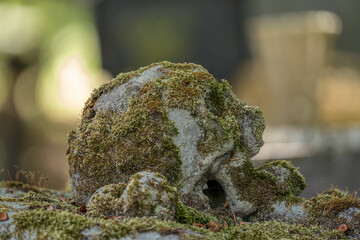 On a Tombstone there's a skull