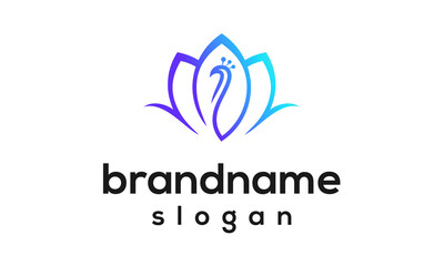 Beautiful peacock logo design vector