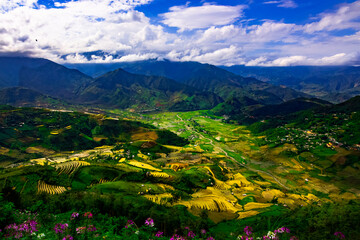 Fototapeta na wymiar rice field in the mountains