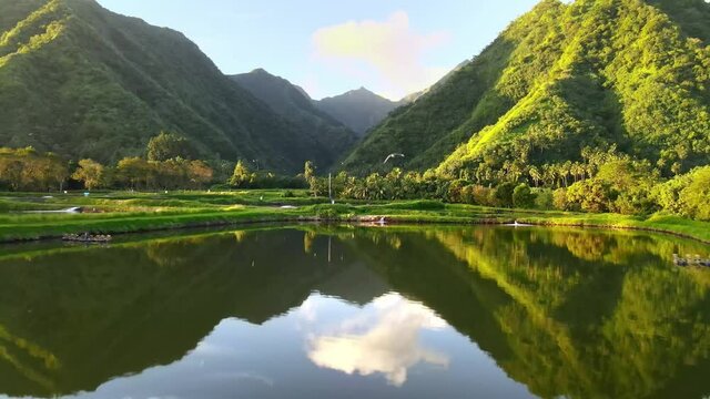 Tahiti drone aerial shot 4k. Beautiful nature landscape of French Polynesia. Reflections of mountain valley in pond shrimp farm. exotic travel destination, adventure getaway destination. 