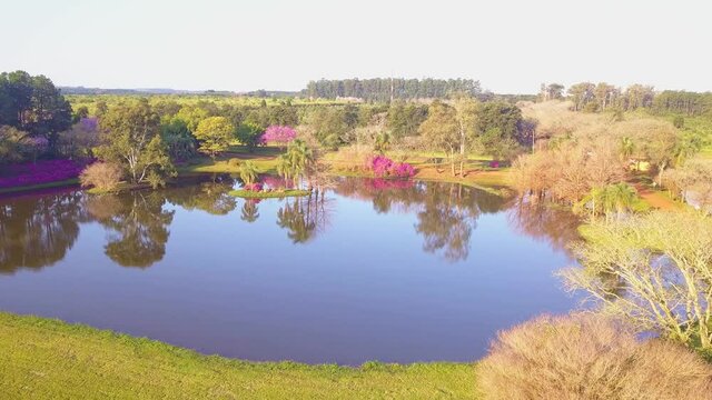 Flight over small lake with blooming tree tops, and beautiful garden inside yerba mate industrial complex Las Marias. Next to Ibera wetlands national park in corrientes, Argentina. Water reflections.