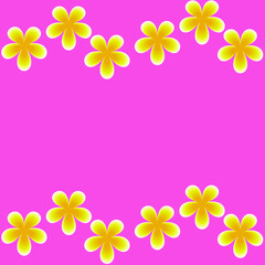 colorful flower frame  pattern background