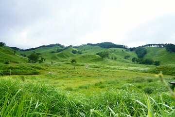 Obraz premium 兵庫県 神崎郡 砥峰高原