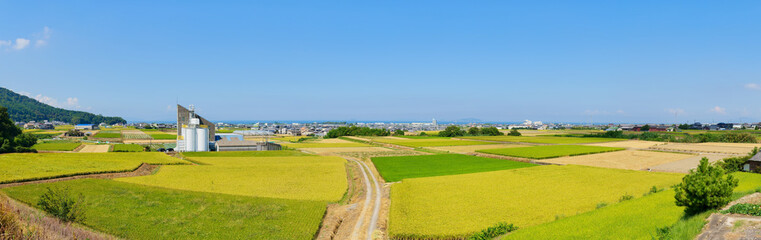 夏　田園パノラマ風景　遠方に瀬戸内海(香川県観音寺市)