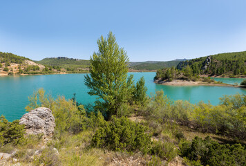 The beautifully situated reservoir of Taibilla in Kastillen. It's a sunny summer day. In the foreground a tree and in the background the mountains.