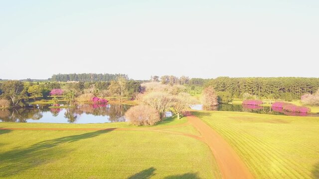 Flight over garden towards lake inside Yerba Mate production industrial complex in Las Marias, next to the Ibera wetlands. Province of Corrientes, Argentina. Lapacho trees and azaleas in bloom.