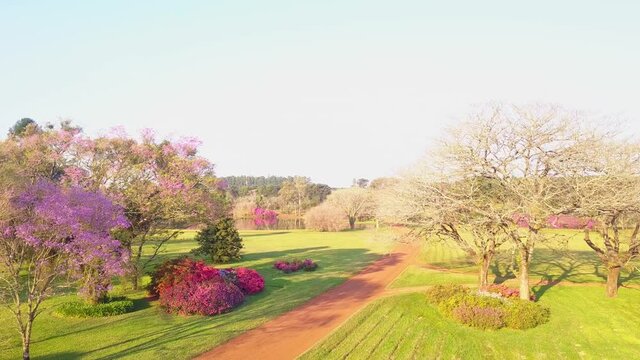 Garden in bloom. Azaleas, Lapachos and other exotic trees in a perfectly mowed lawn. Garden in Las Marias, province of Corrientes, Argentina. Part four