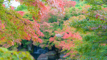 兵庫県 姫路市 好古園
