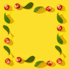 Frame from ripe small red apples and green leaves with dark shadows on yellow color background.  Food concept. Vegetable background.
