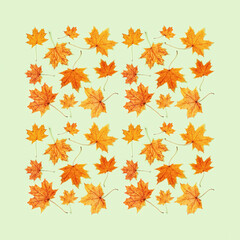 Autumn greeting card with beautiful yellow autumnal leaves of maple, minimal style.