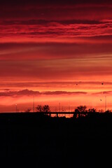 vibrant sunset silhouette on a shadowy prarie