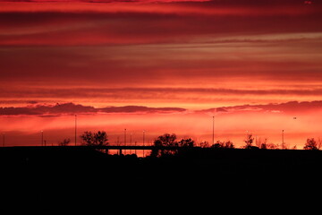 vibrant sunset silhouette on a shadowy prarie