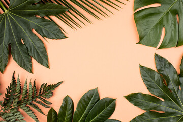 Fototapeta na wymiar Green palm leaves on bright orange background. Minimal summer abstract jungle or forest pattern. Negative copy space. Flat lay.