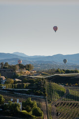 Wine and Grapevines and Hot Air Balloons Southern California