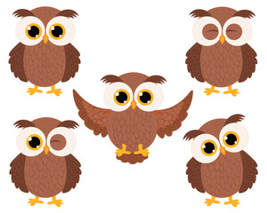 Set of cute owl vector illustration