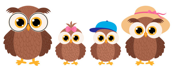 Set cute owl family vector illustration