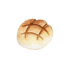 watercolor illustration baked bread round