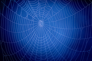 Blue Spider Web. Global communication concept.