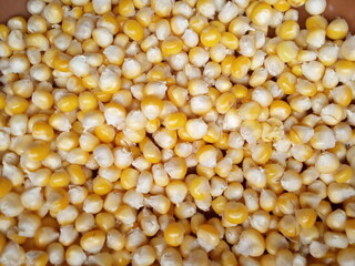 close up of corn