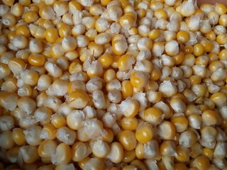 popcorn close up