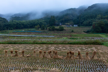 収穫を終えた農村地帯の朝靄