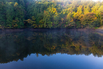 靄と紅葉が映り込んでいる池