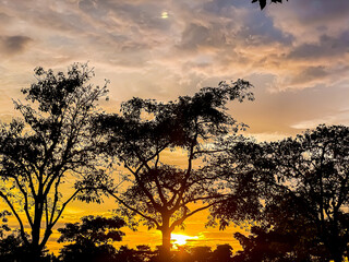 Beautiful and unique sunset behind the trees #abdullahadli