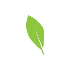 leaf logo