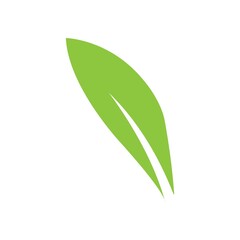 leaf logo