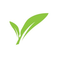 leaf logo